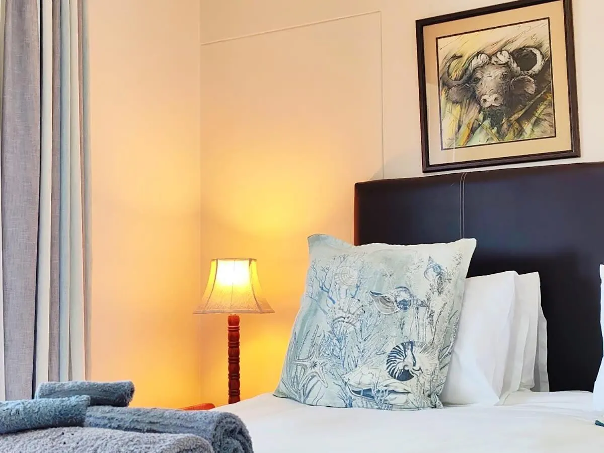 Nautilus Shells Tides Apartment Muizenberg South Africa