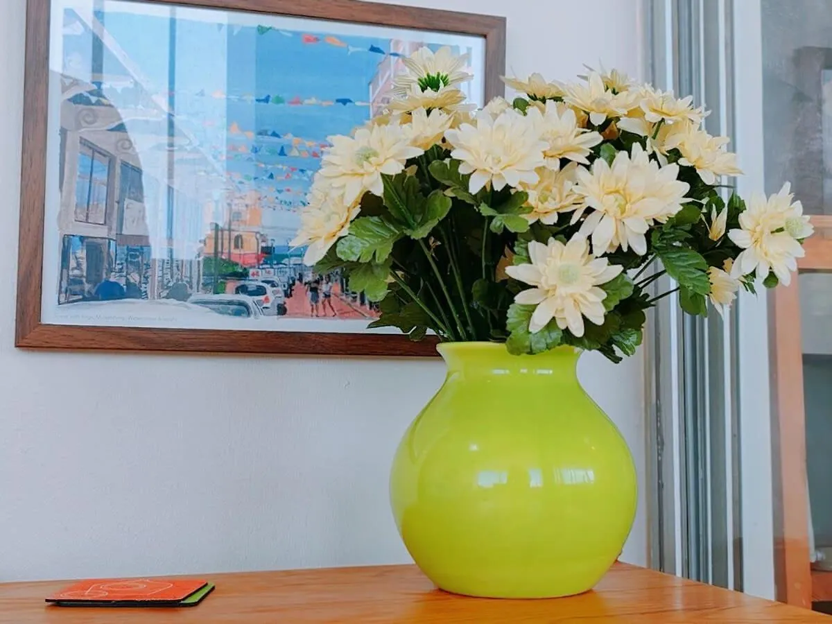 Nautilus Shells Tides Apartment Muizenberg