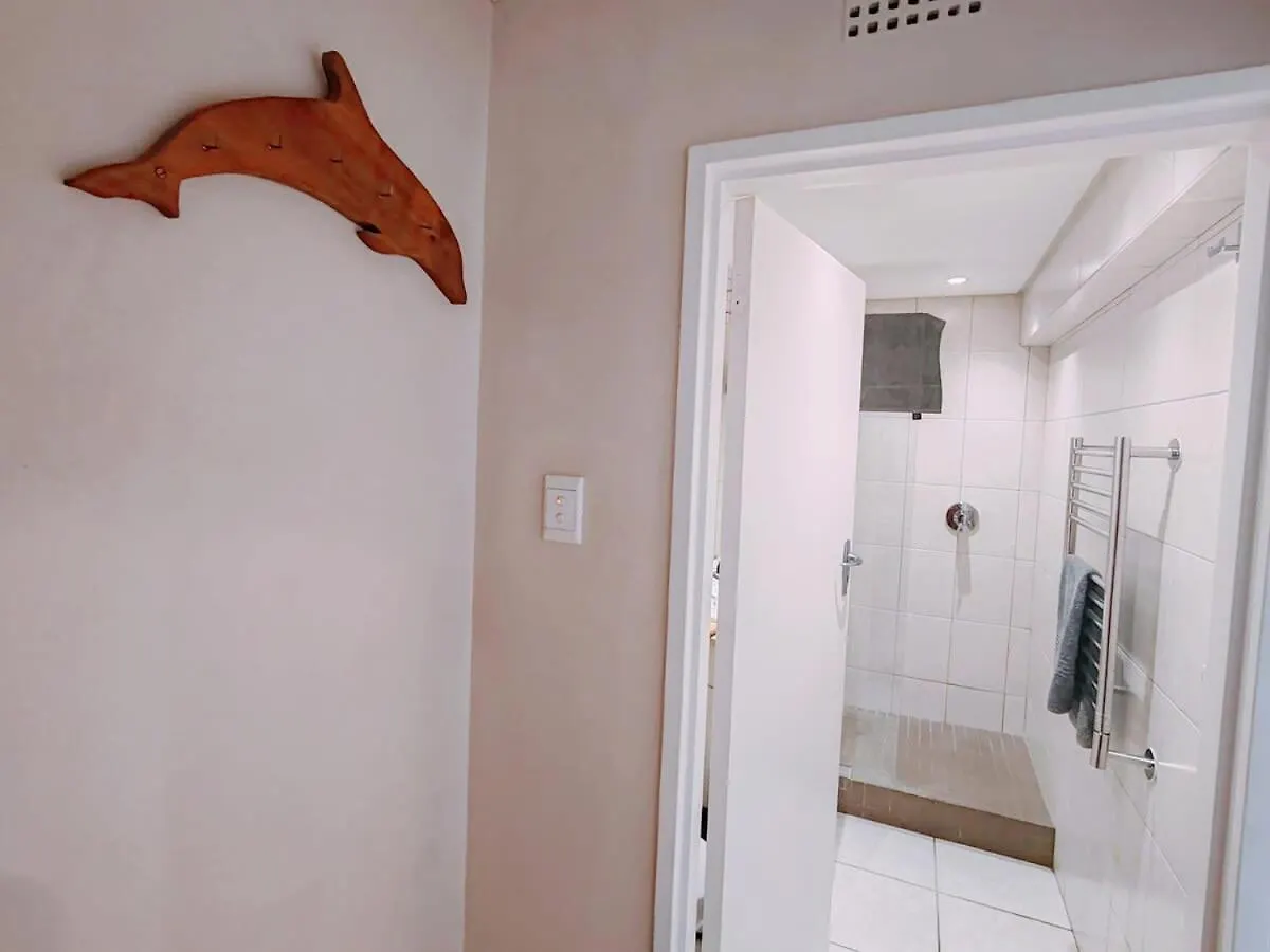 Nautilus Shells Tides Apartment Muizenberg South Africa